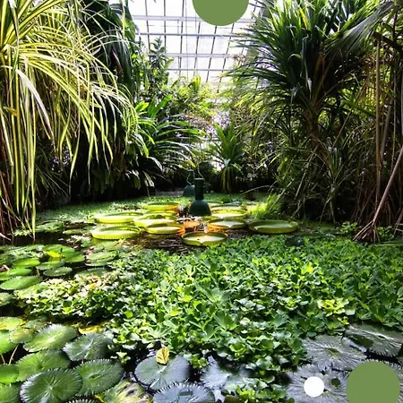 Appartement Chillout Polna - Parking *