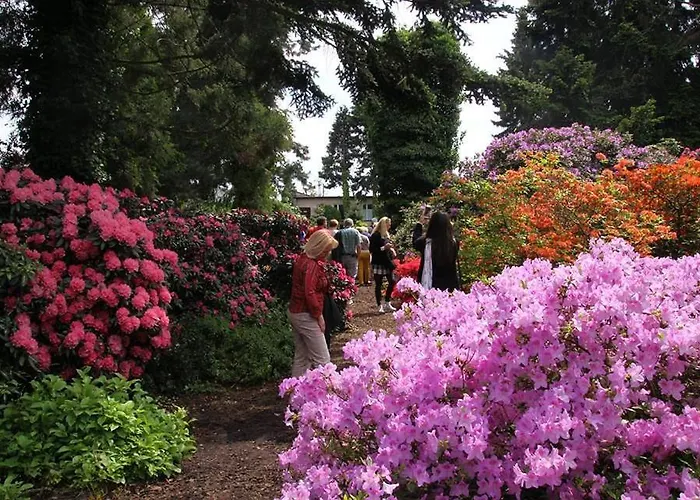 Apartment Chillout Polna - Parking Poznan