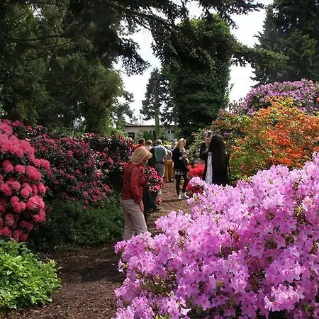 Chillout Polna - Parking Poznan