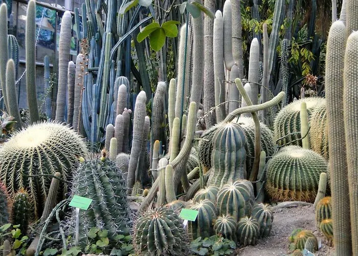 Daire Chillout Polna - Parking